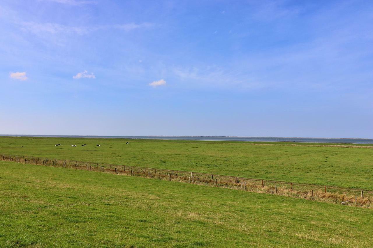 Ferienwohnungen "Zur Friesen Freude" - Nur Fuer Feriengaeste Dornum Exterior foto